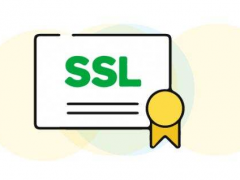 外贸网站如何选择SSL证书