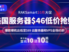 RAKsmart十月低价促销 外贸服务器$46限量秒杀