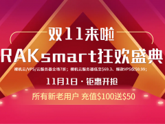 RAKsmart双11活动盛典 外贸建站云服务器/裸机云七折