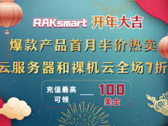RAKsmart开年大放价 外贸建站服务器首月半价