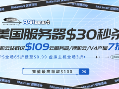 RAKsmart优惠大促 外贸服务器仅需$30 新老客户充值最高可领100美金