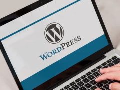 适合外贸建站的WordPress主机推荐