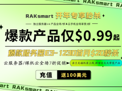 RAKsmart开年专享活动 外贸VPS低至$0.99/月 云服务器仅$19.9/年