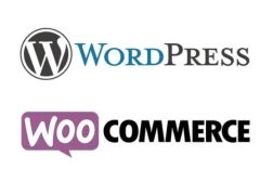 WordPress+Woocommerce外贸独立站搭建教程（入门完整版）